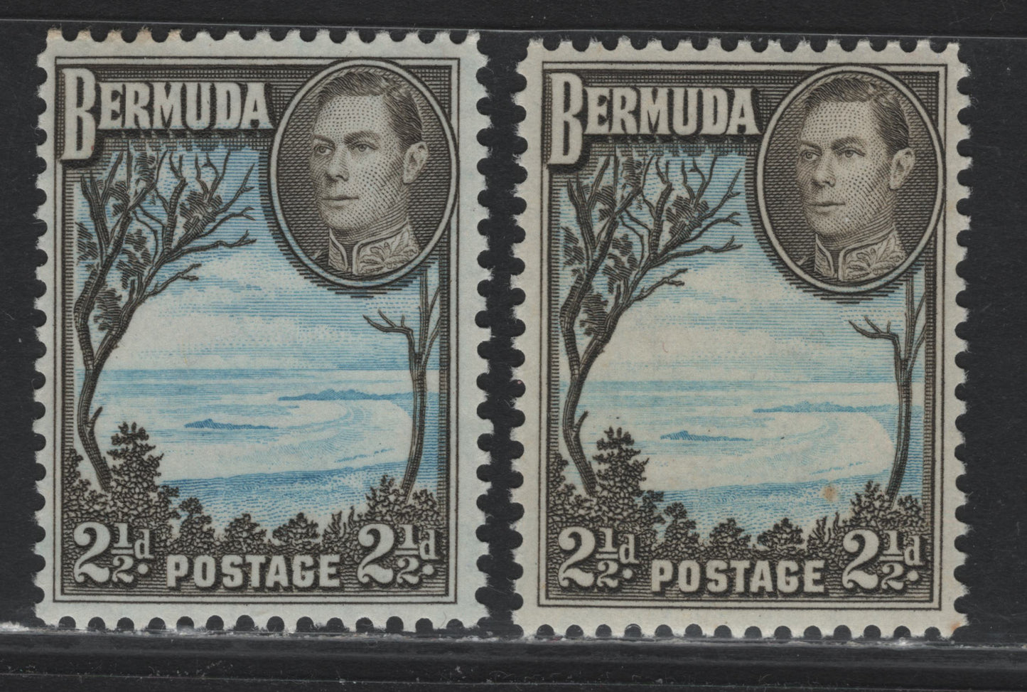 Lot 248 Bermuda SG#113c 2.5d Light, Bright Blue & Deep Olive Sepia - Light Bright Blue & Deep Olive Brown , 1936-1952 KGVI Pictorial Issue, 2 VFNH Singles, 1952 Comb Perf Printing, Cross-hatched Mesh Paper With Barely Visible Wmk