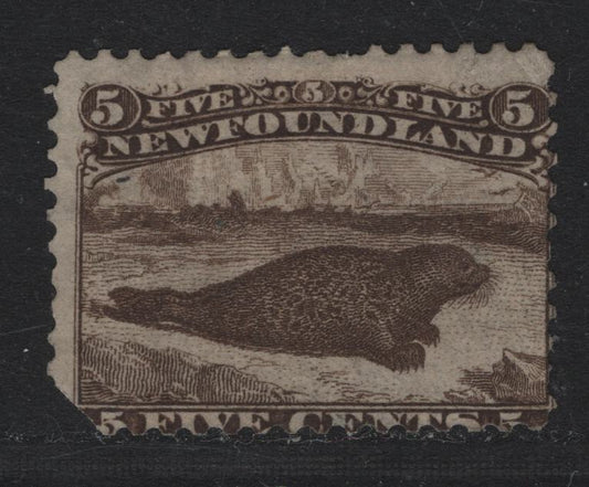 Lot 195 Newfoundland #25 5c Brown , 1865-1894 Cents Issue, An Ungraded Used Single, Cents-V Paper, Unused Space Filler, Missing The Lower Left Corner.