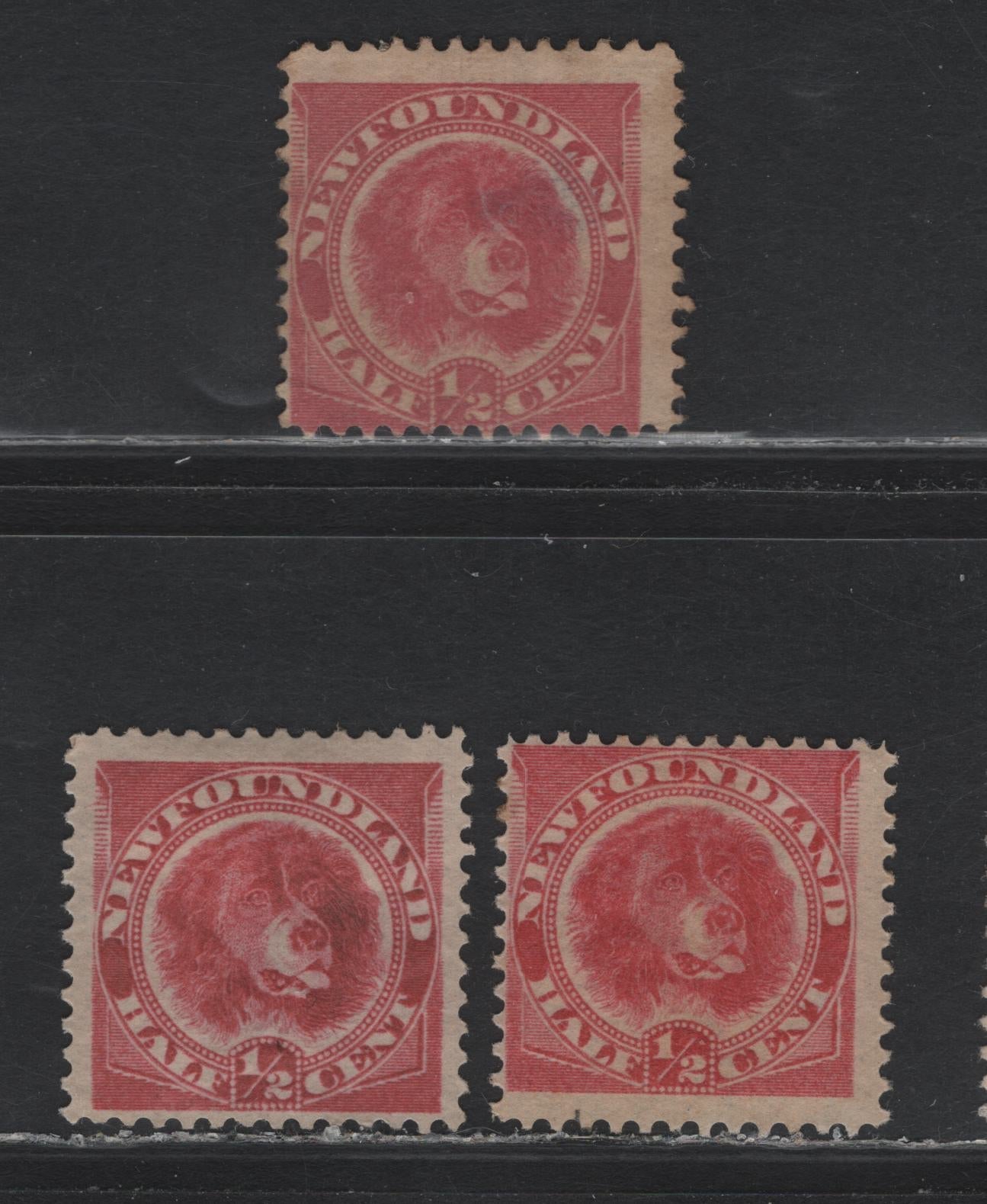 Lot 217 Newfoundland #56 1/2c Rose Red, 1887-1898 Cents Issue, 3 G/FOG & Unused Singles, Stout Horizontal Wove Paper, Unchecked As To Specific Type Or Perf, Slightly Different Shades.