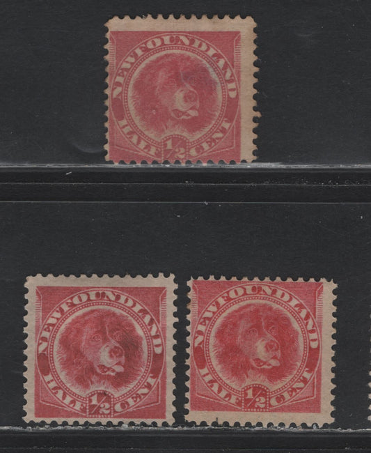 Lot 217 Newfoundland #56 1/2c Rose Red, 1887-1898 Cents Issue, 3 G/FOG & Unused Singles, Stout Horizontal Wove Paper, Unchecked As To Specific Type Or Perf, Slightly Different Shades.