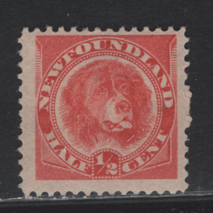 Lot 218 Newfoundland #57 1/2c Orange Red, 1887-1898 Cents Issue, A GOG Single, 1896 Printing, Soft Horiz Wove Paper, Fine & Fresh Appearing, But Large Thin That Does Not Show Through.