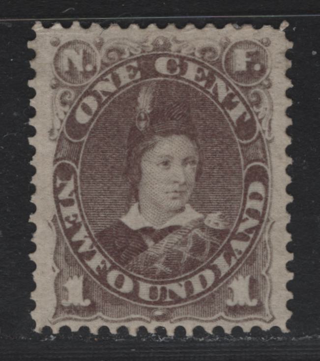 Lot 13 Newfoundland #42 1c Gray Brown , 1880-1896 4th Cents Issue, A VFOG Single, Cents-JJ Paper