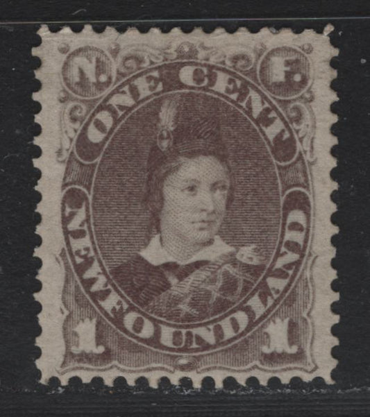 Lot 13 Newfoundland (C) #42 1c Gray Brown , 1880-1896 4th Cents Issue, A VFOG Single, Cents-JJ Paper