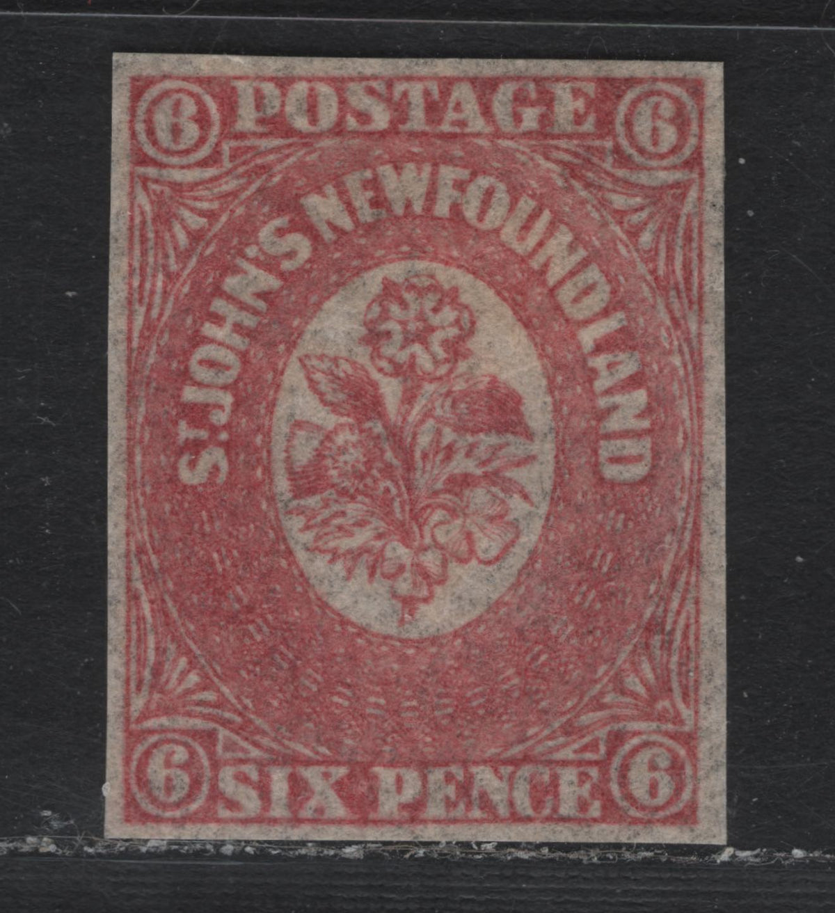 Lot 312 Newfoundland (C)#20 6d Rose , 1861-1862 Pence Issue, A VFOG Single, Crisp, Translucent Wove Paper, 1861 Printing