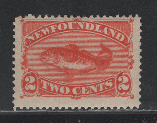 Lot 349 Newfoundland #48b 2c Orange , 1880-1896 4th Cents Issue, A FOG Single, Cents-NN Paper