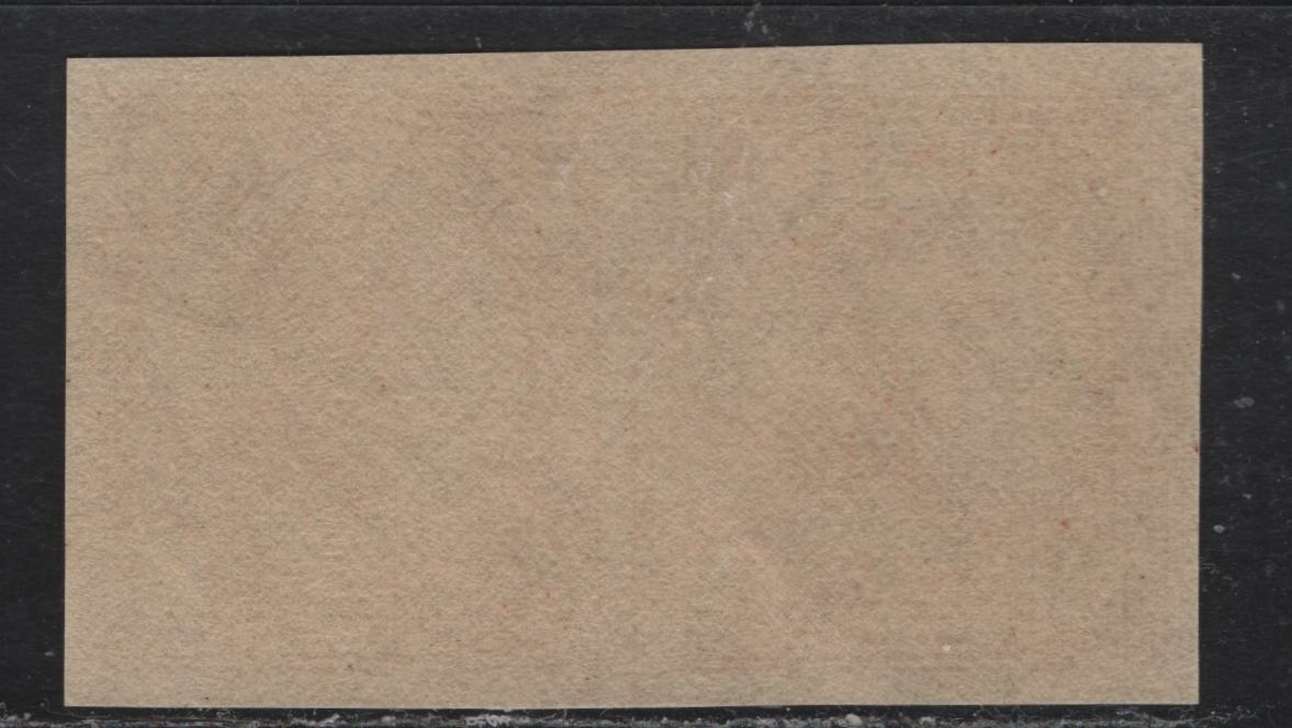 Lot 12 United States SC#576var 1.5c Pale Yellow Brown , 1922-1925 4th Bureau Issue Flat Plate Printings, A VFNH Center Line Pair