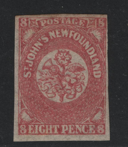 Lot 27 Newfoundland #22 8d Deep Rose Heraldic Flowers, 1861-1862 Third Pence Issue, A Fine Unused Single Hard Translucent Wove Paper