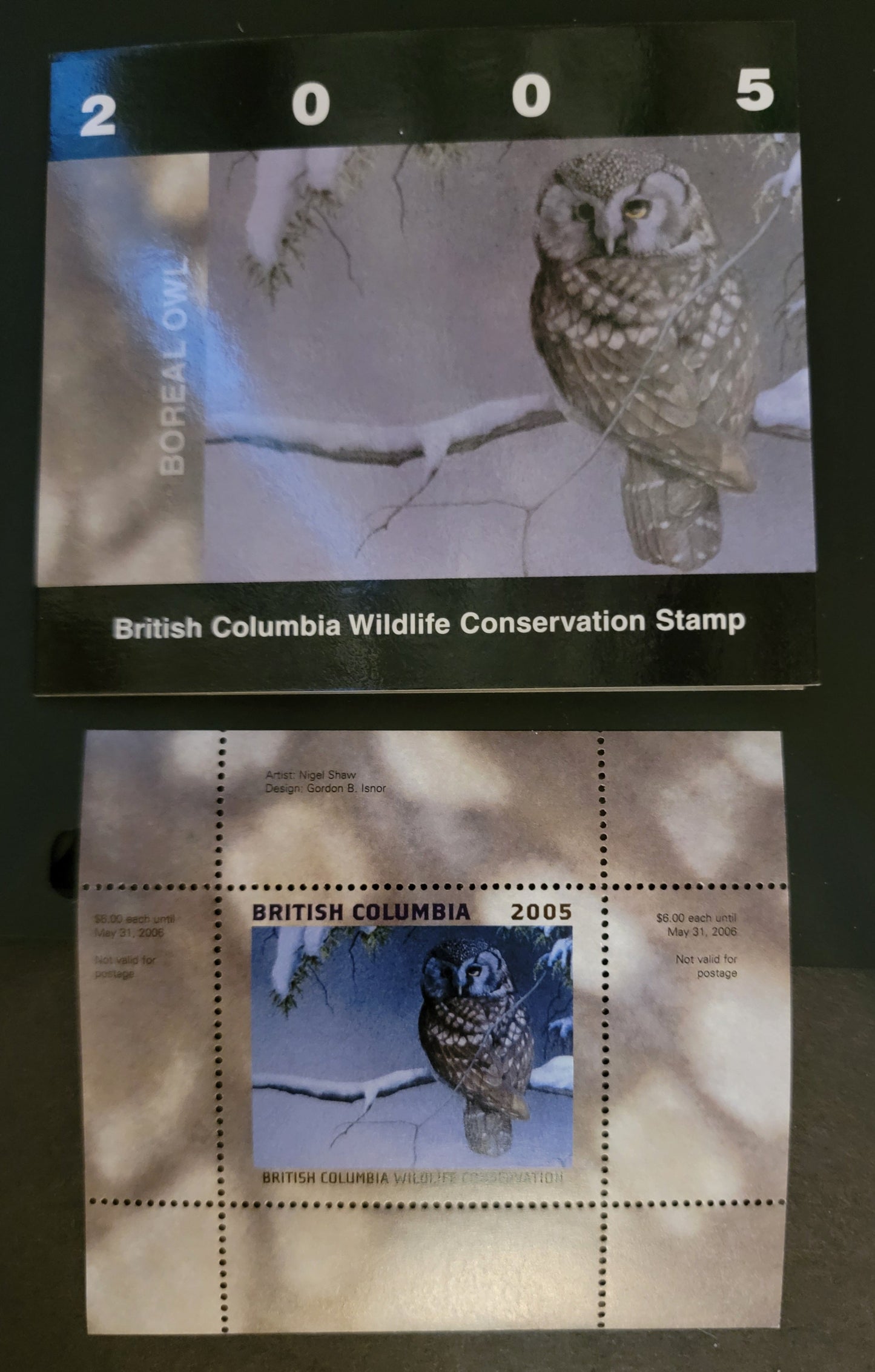 Lot 355 Canada - Province of British Columbia #BCC11  Multicoloured Boreal Owl, 2005 British Columbia Conservation Fund Issue, A VFNH Miniature Sheet Of 1 On HB Paper