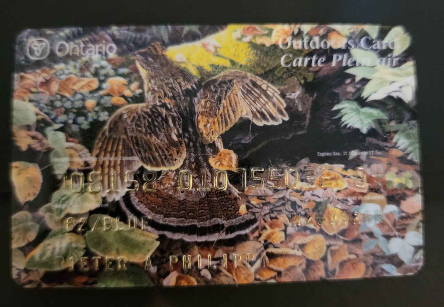 Lot 368 Canada - Province of Ontario #Unlisted  Multicoloured Pheasant, 2002-2004 Ontario Ministry Of Natural Resources Issue, A Very Fine Plastic Outdoors Card Franked On Back With 3 Years Of Deer Hunting Licences