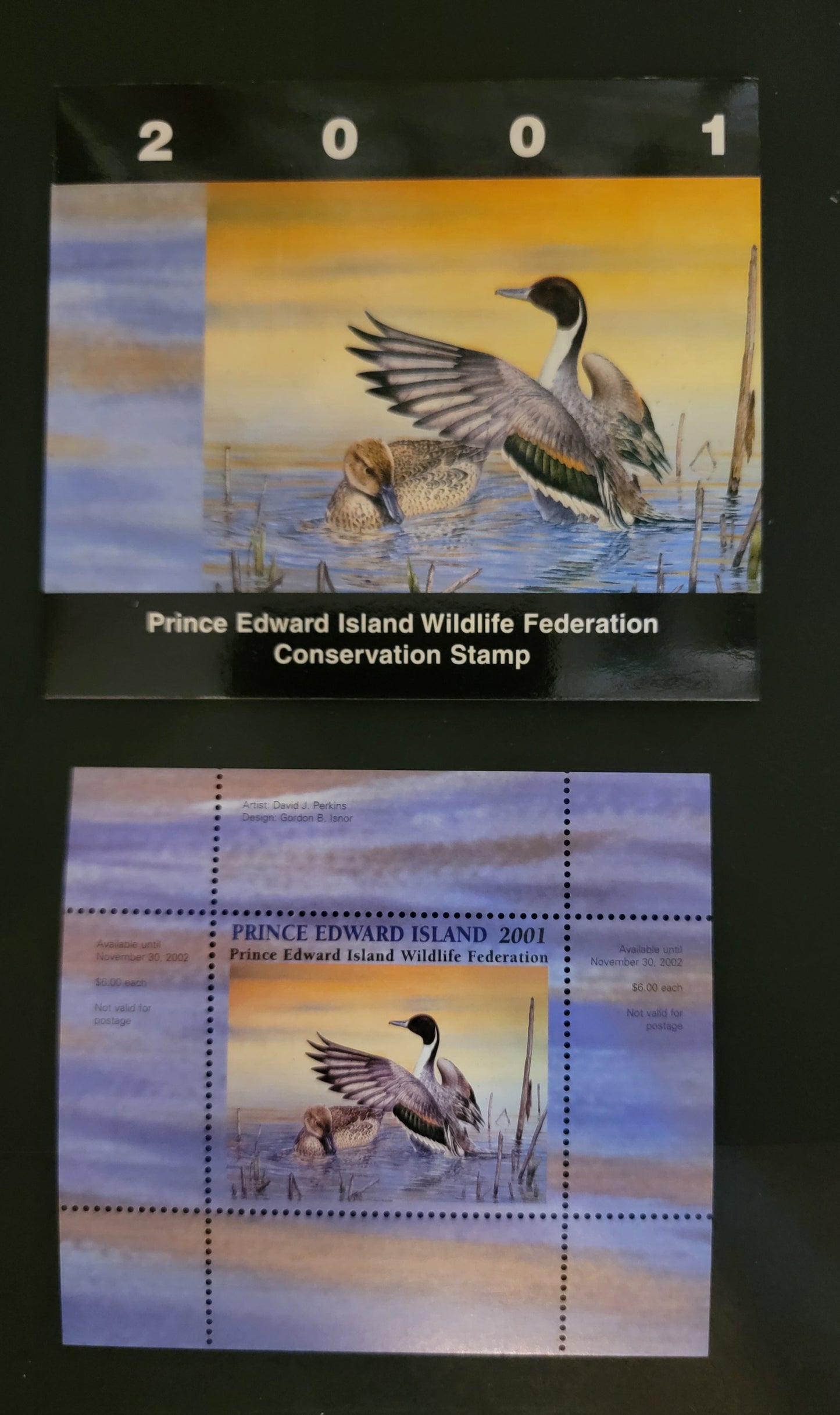 Lot 391 Canada - Province of Prince Edward Island #PEW7  Multicoloured Northern Pintail, 2001 Prince Edward Island Wildlife Federation Issue, A VFNH Miniature Sheet Of 1 On HB Paper