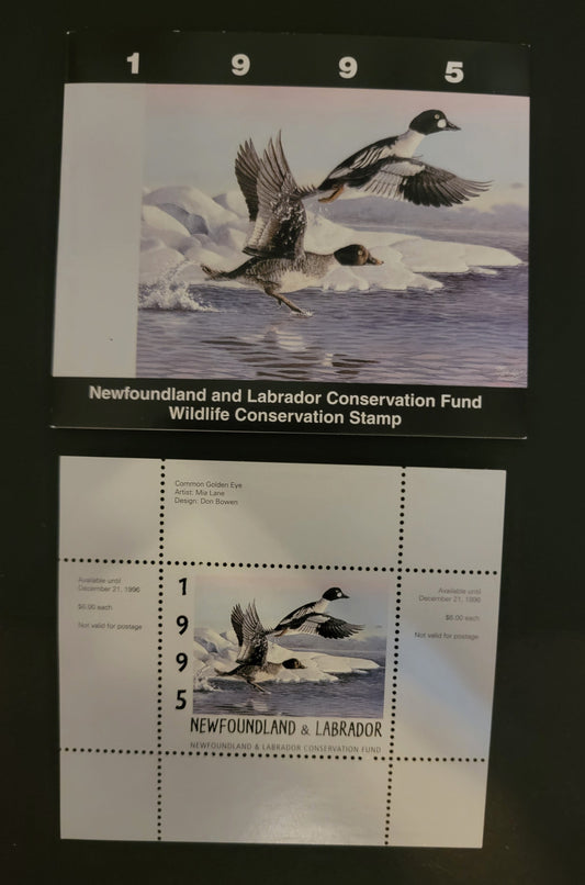 Lot 395 Canada - Province of Newfoundland & Labrador #NLW2  Multicoloured Common Golden Eye, 1995 Newfoundland & Labrador Conservation Fund, A VFNH Miniature Sheet Of 1 On HF Paper