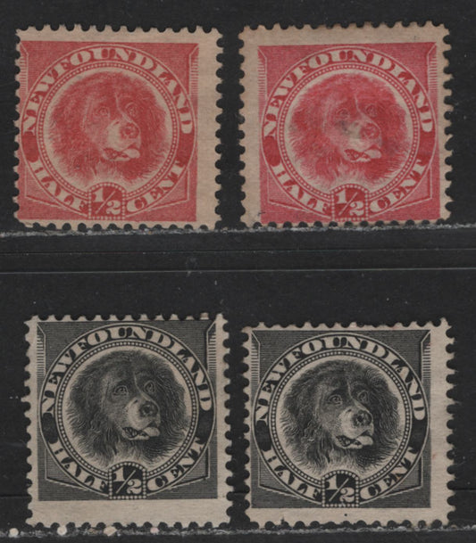 Lot 404 Newfoundland #56, 58 1/2c Rose Red & Black Newfoundland Dog, 1887-1898 Third Cents Issue, 4 Fine Unused, VGOG, Good & VG Unused Singles Slight Shade Differences