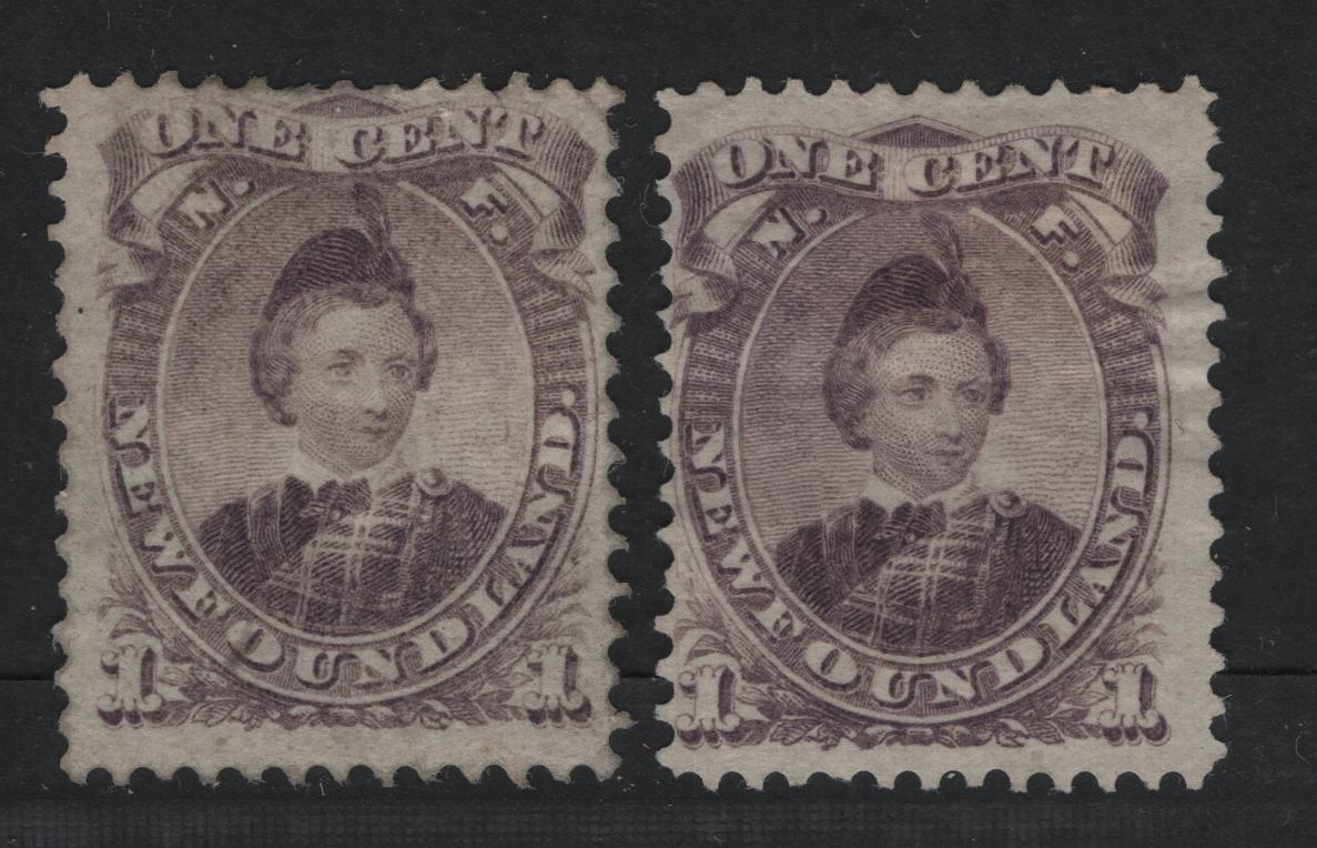 Lot 42 Newfoundland #32 1c Violet & Grey Violet Prince Of Wales, 1868-1894 Second Cents Issue, 2 Fine Unused Singles