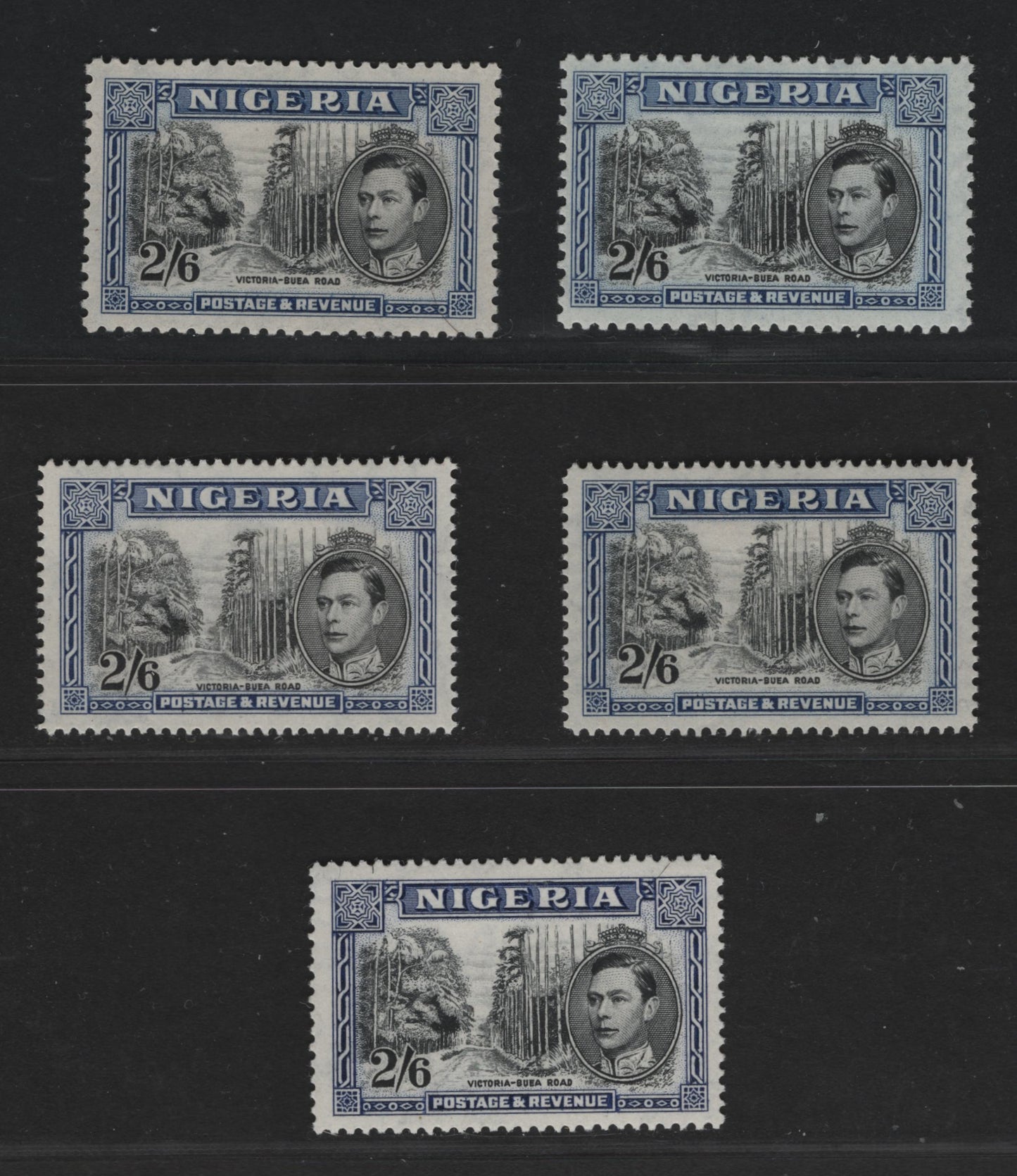 Nigeria #63var, 63bvar (SG#58b-cvar) 2/6d Black & Brighter Blue/Deep Bright Blue King George VI & Buea Road, 1938-1952 King George VI Definitive Issue, 5 Fine & VF OG Singles, Comb Perf. 12 & Line Perf. 14.2, Nov. 1948 - Feb. 1952 Printings