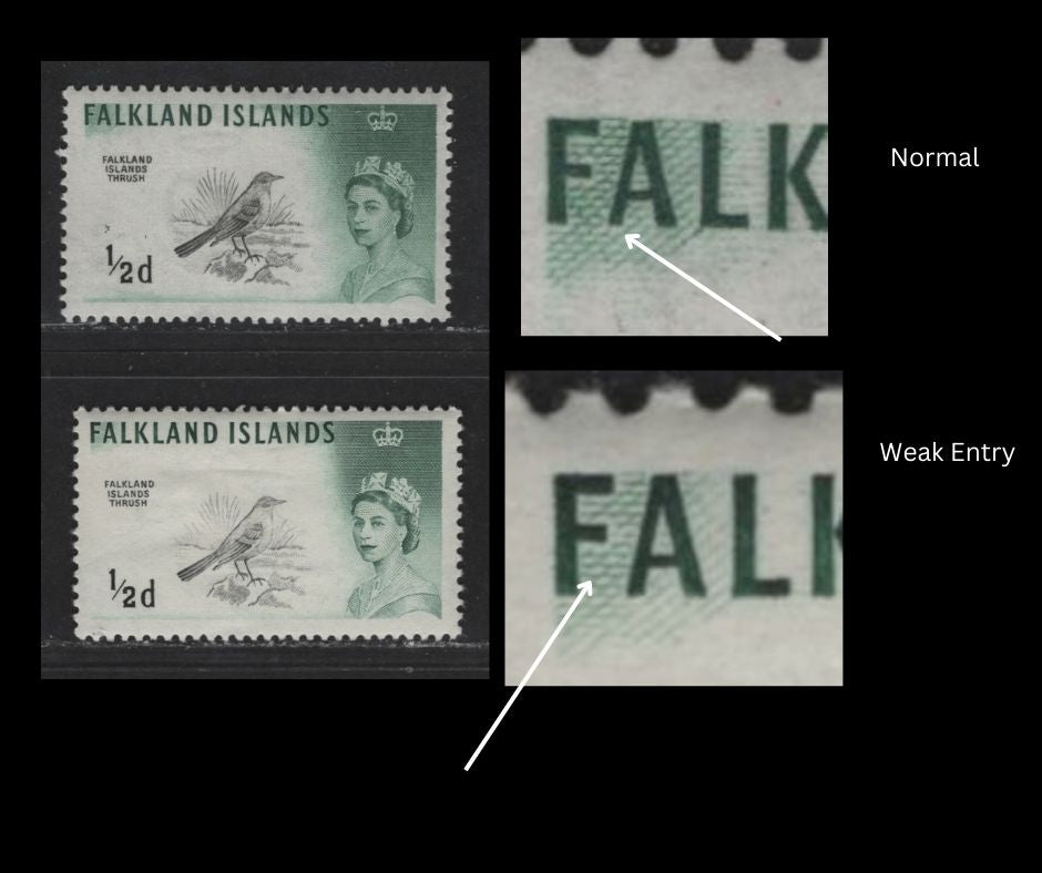 Lot 555 Falkland Islands #128var (SG #193, 227a) 1/2d Deep Green & Black Thrush, 1960-1966 Bird Definitive Issue, 2 VFOG Singles Upright & Sideways Wmk, Showing Weak Entry Under "FA" On The Sideways Watermark