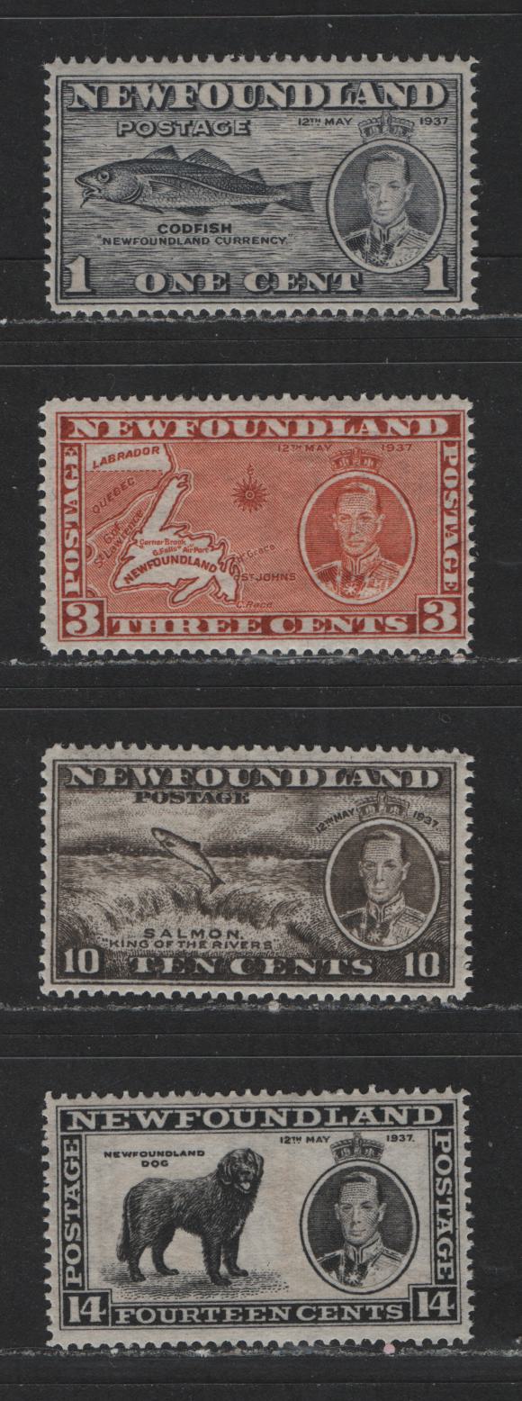 Lot 578 Newfoundland #233, 234a237, 238 1c-14c Grey Black - Black King George VI & Queen Elizabeth, 1937 Coronation Issue, 4 Fine & VFNH Singles Perf. 13.8 Line, 3c Is Die 2