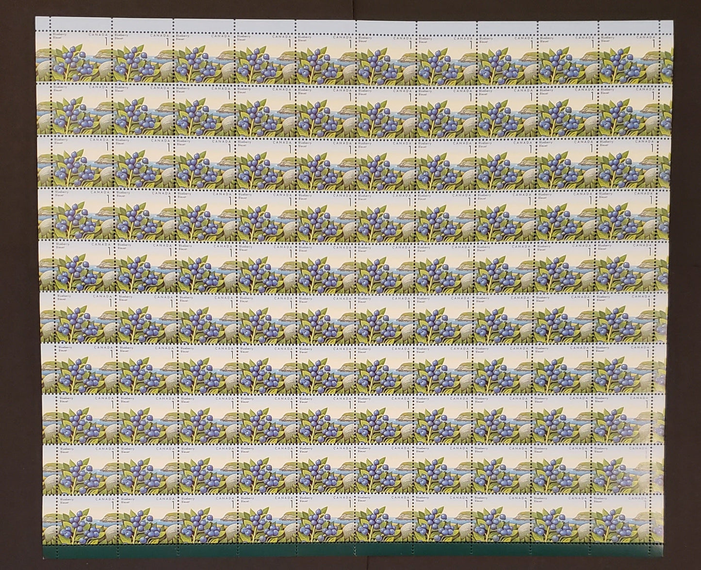 Canada #1349i 1c Multicoloured Blueberries, 1992 Edible Berry Definitives, Field Stock Sheet Stock Sheet Of 100, NF/DF Coated Paper, CBN Printing, VF-75 NH, Folded Down Middle,  Unitrade Cat. As Singles $25, Without The Listed Varieties
