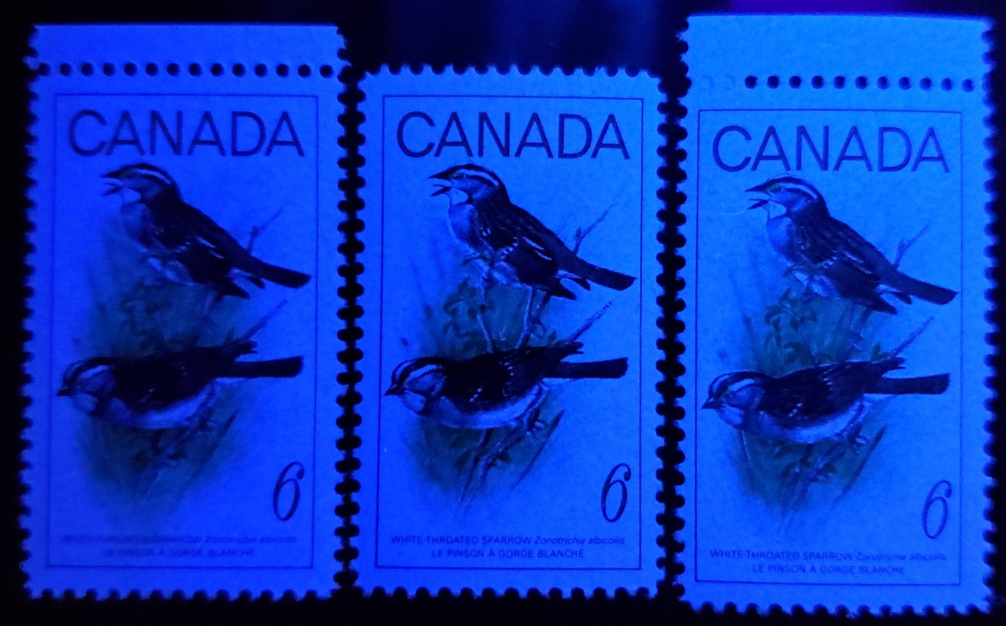 Canada #496 var 6c Multicolured White Throated Sparrow, 1969 Birds Issue, 2 VFNH SIngles With Yellow Almost Completely Missing & Branches Rightward, With Normal For Comparison